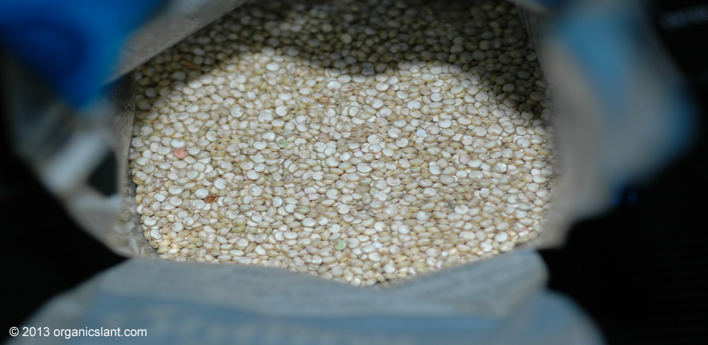 quinoa-mother-of-all-grains-1024w
