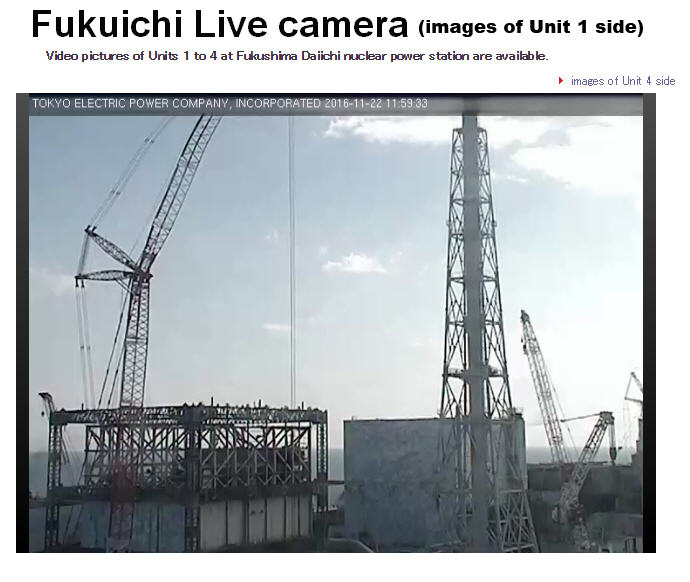 tepco-live-feed-tokyo-electric-power-company-unit-1