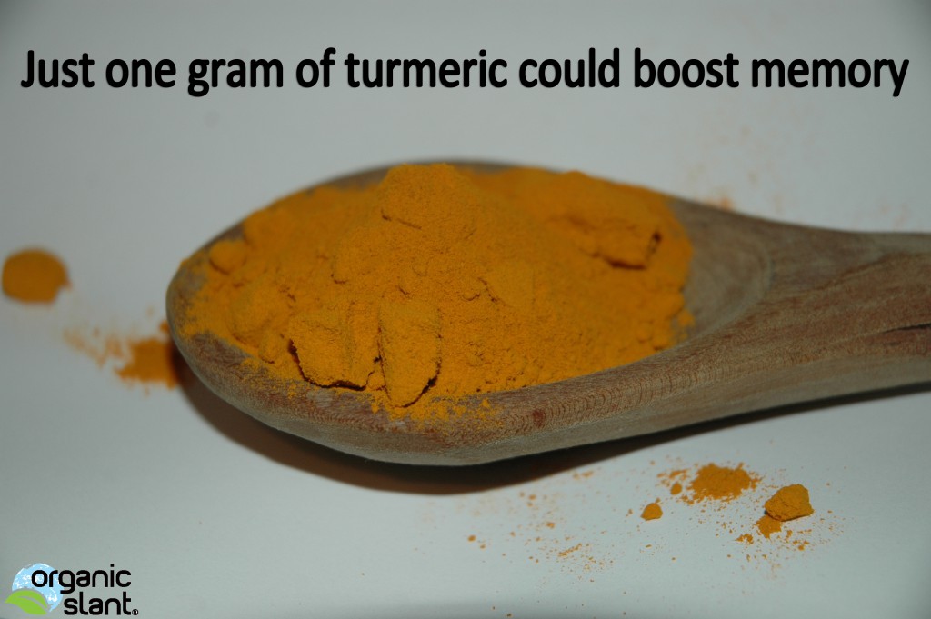 turmeric-just-one-gram