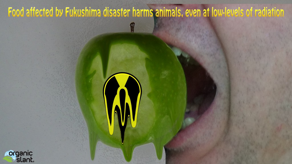 0000218-food-affected-by-fukushima