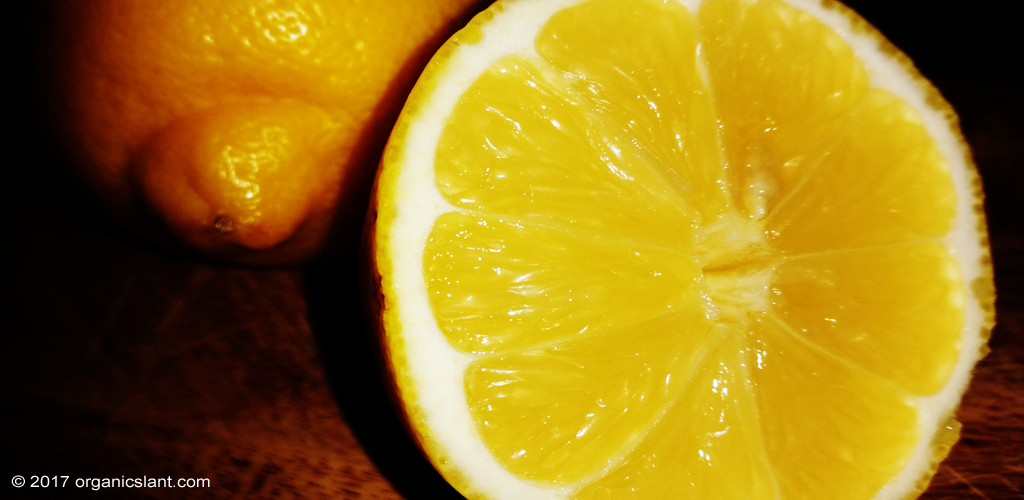 citrus-scent-inhibits-liver-cancer-1024w
