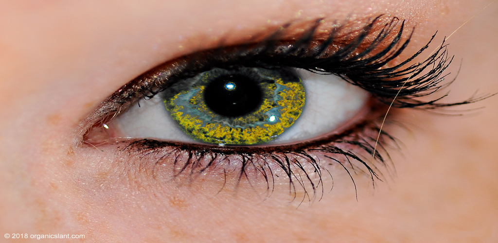 TurmericDerived Eye Drops Could Treat