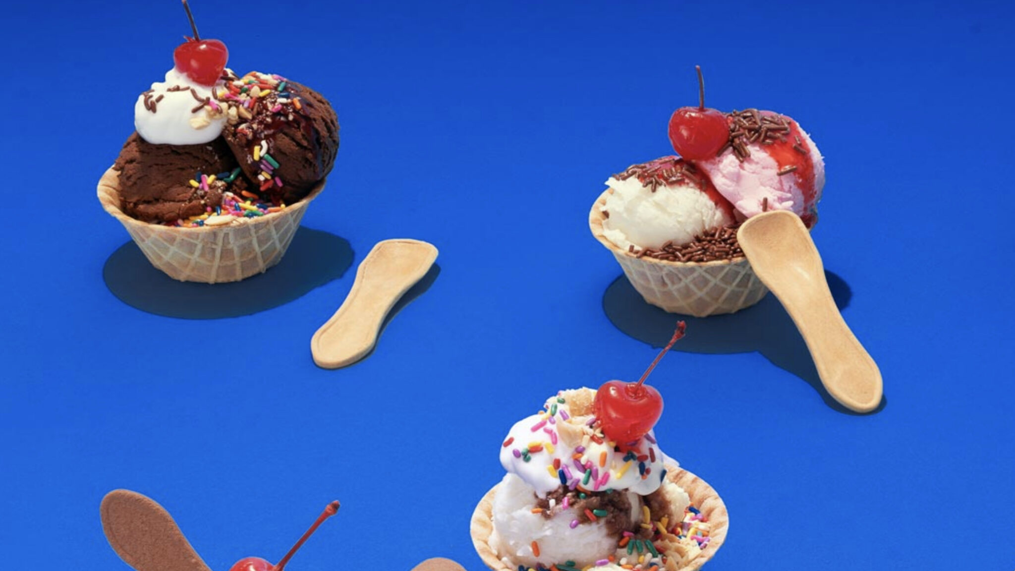 incrEDIBLE Edible Spoons Crunchy Eco Friendly Alternative to